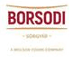 Borsodi